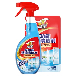 擦洗玻璃清洁剂玻璃水家用浴室淋浴房水垢强力去污除垢窗户清洗剂