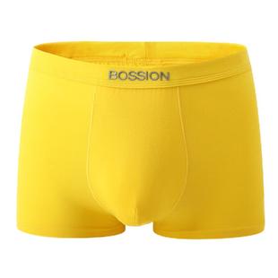 黄色内裤男一条装单条纯棉本命年蛇年全棉金色四角裤莫代尔平角裤