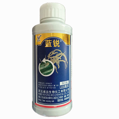 河北威远蓝锐斑潜蝇阿维菌素