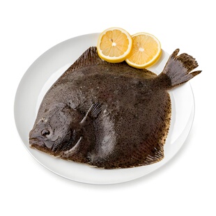 多宝鱼鲜活冷冻无刺鱼比目鱼新鲜鸦片鱼鲽鱼大号偏口鱼海鱼八宝鱼