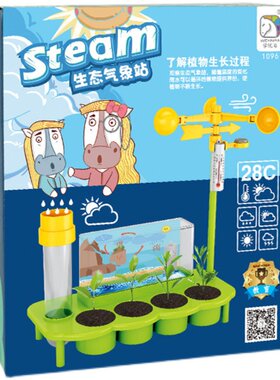 科学实验生态气象站植物模拟玩具