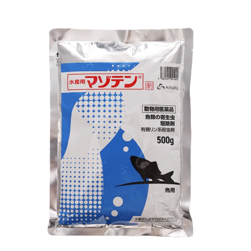 日本马素田原装进口锦鲤鱼池常备