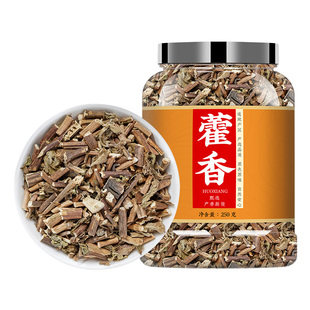 藿香中药材正品广藿香新鲜干香料霍香叶泡水泡茶中草药非野生特级