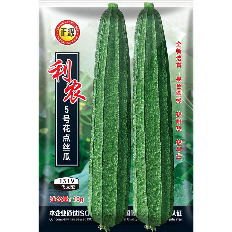 正源利农5号花点棱丝瓜