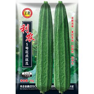 和利农 正源利农5号花点棱丝瓜种子四季蔬菜种孑早熟高产种籽子
