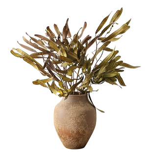 豆荚扁豆干花花束天然风干真花干枝民宿酒店软装复古森系花材装饰