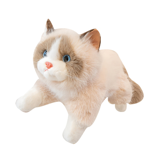 毛绒仿真布偶猫娃娃小猫咪玩偶抱枕公仔儿童女孩安抚玩具生日礼物