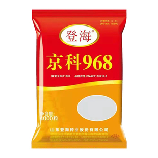 原装正品登海玉米种高产大棒双胞胎三国审抗病矮杆抗倒伏京科968