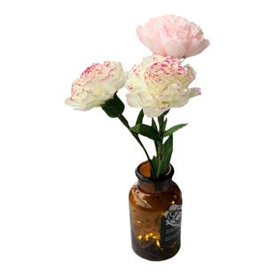 纸艺皱纹纸康乃馨材料包 DIY手工纸花 教师节母亲三八节礼物