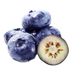 恬嘉果业丹东花香蓝莓脆甜个大