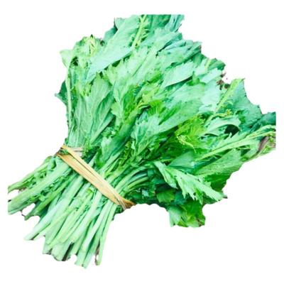 贵州特色新鲜蔬菜青菜菜苔野葱