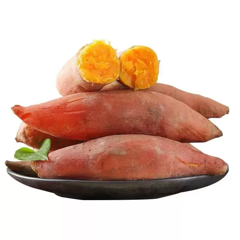 新鲜现挖黄心蜜薯软糯香甜早餐代餐农家自种番薯红薯地瓜批发沙地