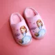 C19 Princess Pink