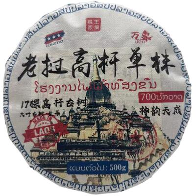 2023老挝高杆单株古树500克饼茶
