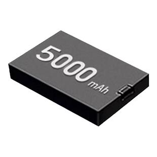 因硕智能锁专用锂电池配件智能门锁指纹锁密码锁电子锁大容量耐用