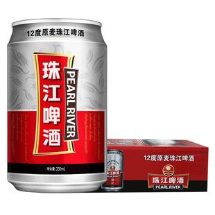 珠江12度原麦啤酒330mL*24罐装整箱批发听装黄啤易拉罐官方旗舰店