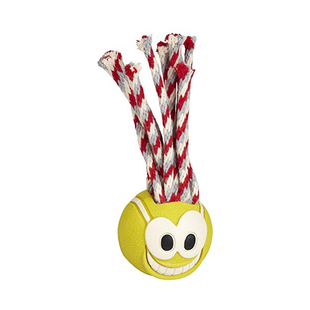 金毛七宝家 满脑子都是球CHUCKIT!进口宠物狗玩具球耐咬巡回互动