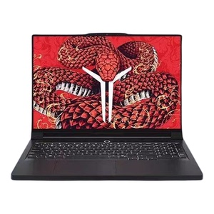 Lenovo/联想拯救者R9000P/Y7000P2025新款5060电竞游戏笔记本电脑