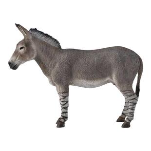 【88664非洲野驴】CollectA官方授权正版动物模型早教玩具