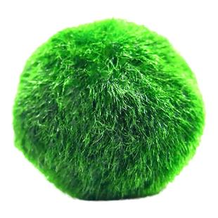 绿藻球水草阴性海藻球绿澡球生态瓶水藻球微景观虾缸marimo绿毛球