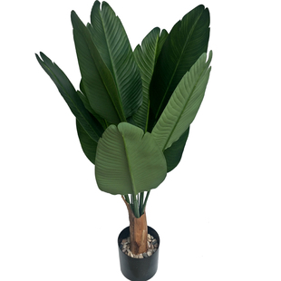 仿真绿植假椰子树叶子散尾葵凤尾竹植物棕榈树叶造景观装饰塑料花