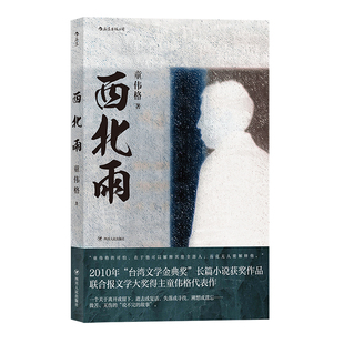 童伟格作品3册任选 王考 西北雨 无伤时代 台湾现代作家代表作 港台当代文学长篇小说书籍 后浪官方正版现货速发