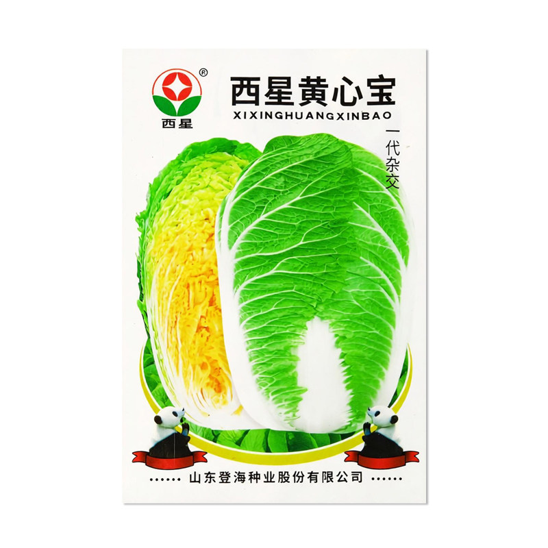 西星黄心宝大白菜种子