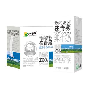 【青藏奶源】小西牛纯牛奶学生早餐牛奶整箱牛奶250ml*20盒