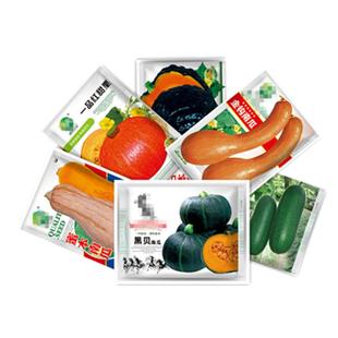 高产绿贝贝迷你奶油小南瓜种子丝瓜玉米蜜本黑白粉皮大早熟小冬瓜