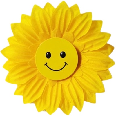 舞蹈道具10个批发价30个顺丰包邮