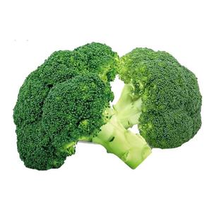 燎原绿色西兰花2斤 现割新鲜蔬菜 孕妇宝宝健康营养辅食包邮