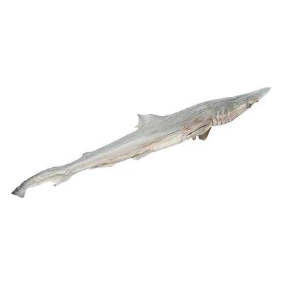 冻干小鲨鱼干宠物零食鱼干磨牙
