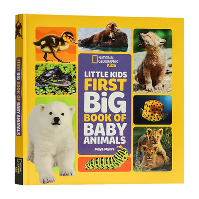 小动物英文原版绘本精装版