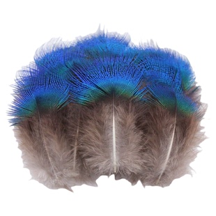 点翠羽毛孔雀脖子蓝片已上浆工艺自然脱落DIY饰品材料基地发货专