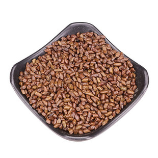 特级决明子500g克 正品炒决明子 枕头填充 熟决明 决明子茶批发