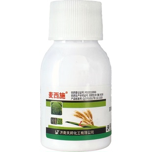双氟唑草酮双氟磺草胺小麦田除草剂阔叶杂草猪殃殃荠菜繁缕播娘蒿