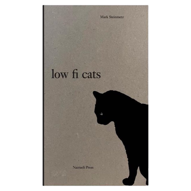 预售 Mark Steinmetz: Low-Fi Cats 马克·斯坦梅茨：低保真猫咪 黑白摄影 猫 雅典乔治亚 限量500册 英文进口原版摄影画册 NAZ