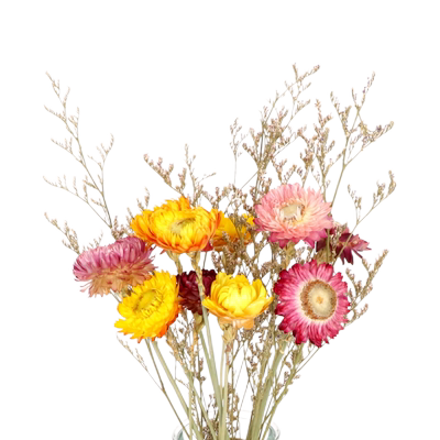 insins小清新家居网红套装麦秆菊