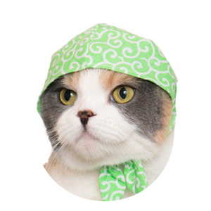 现货日版奇谭club猫小偷 超可爱 猫用头巾 扭蛋5款