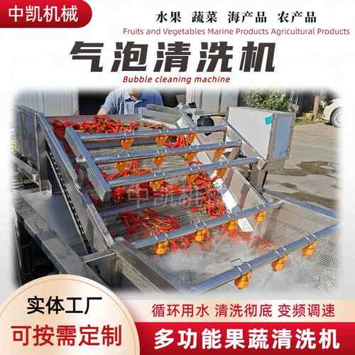 定制喷淋气泡清洗机 全自动肉制品清洗设备 韭菜青葱净菜加工设备