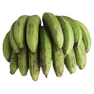 野香蕉丑甜芝麻香蕉广东茂名小香焦高州芝麻蕉自然熟本地新鲜水果