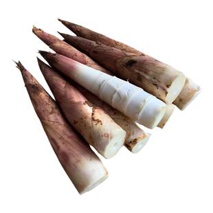 竹笋新鲜春笋现挖雷竹笋油焖笋野生带壳小竹笋黄泥冬笋腌笃鲜5斤