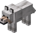 53.Wolf