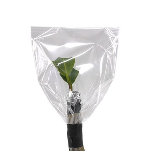 嫁接保湿袋保温袋透明透光嫁接刀袋就盆景金弹子造型靠接保湿袋