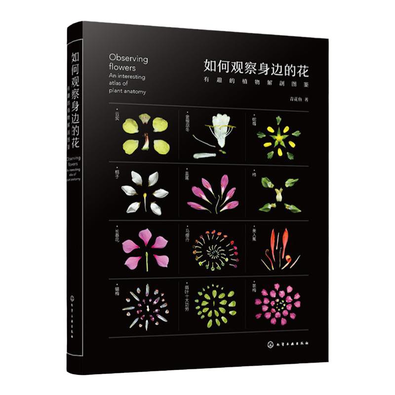 现货 如何观察身边的花 有趣的植物解剖图鉴 植物微距摄影 花朵植物生物学习性 花朵文化背景趣味故事科普书 植物科普鉴别识别图鉴