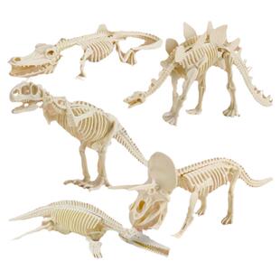 恐龙化石考古挖掘儿童玩具矿石挖宝盲盒手工diy男孩女孩生日礼物