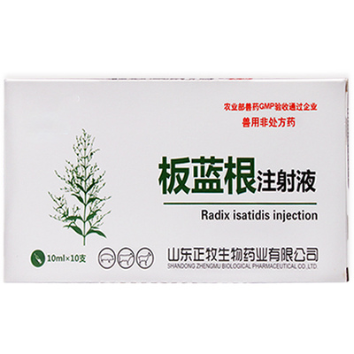 板蓝根注射液兽用鸡鸭鹅猪