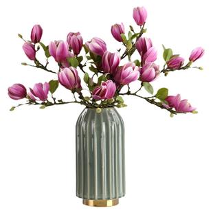 水培植物白玉兰花鲜切紫玉兰带花苞室内客厅干枝冬季耐寒花卉盆栽