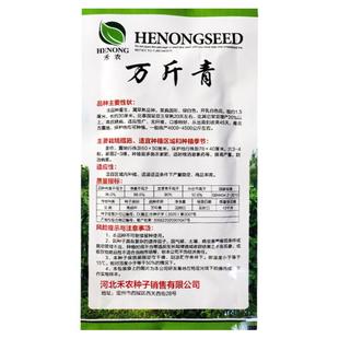 泰国特长架豆芸豆种子种籽高产豆角无丝豆抗病孑亩产蔬菜种子春季