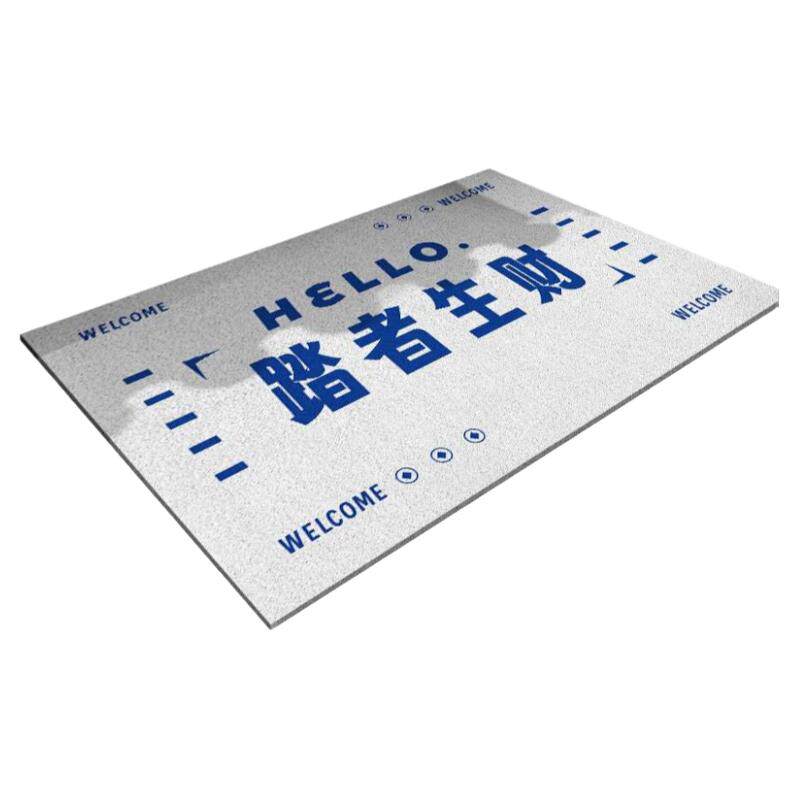 艺术家入口防滑地垫除尘刮泥琴行乐器店进门丝圈地毯女装店铺脚垫